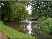 SY7794 : River Piddle, Athelhampton House by DAVID M GOODWIN