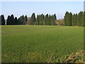 Lane End Playing Fields