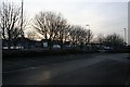 Tesco through the trees