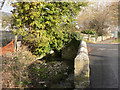 Ogney Brook, Llantwit Major