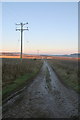 Track towards Newlands Farm