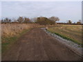 Bridleway heading away from Latchford