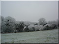 Flood Meadows, Alton, in the frost