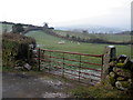 Sheep pasture, near Waterfield