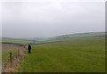 Countryside at Heaves Farm Piddlehinton