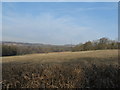 Farmland north of Dale Park House