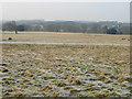 View across St Alban