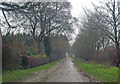 The Muddy Road to Burnham