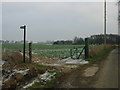 Farmland at Tickenhurst