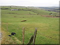 Farmland near Bryn-llys