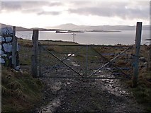 NG2261 : View over a gate by Richard Dorrell
