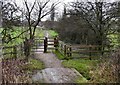 Footpath to Hyde Road