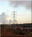 Pylons near Cowdenbeath