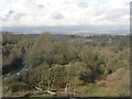 Overlooking woodland along the Afon Alun, St Bride