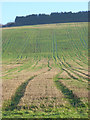 Farmland, Ewelme