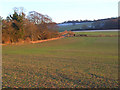 Farmland, Ewelme