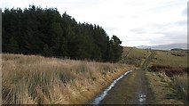 NN7107 : Road to Calziebohalzie by Richard Webb