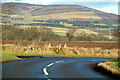 Kirriemuir / Justinhaugh Road at its junction with the road leading to  Auchlishie