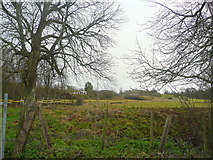 ST3240 : View to The Walled Garden nursery by Jonathan Billinger