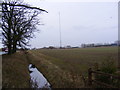 TM1163 : Field & ditch off the A140 Norwich Road by Geographer