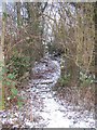TQ6464 : Steps on footpath through scrubland by David Anstiss