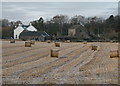 NO4246 : Frosty bales, Kirkton of Kinnettles by Dan
