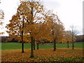 Jubilee Park in Autumn