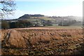 Countryside near Minterne Magna