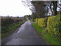 Ballyglass Road, Tattykeel