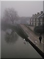 The Exe in the mist