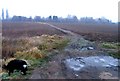 Footpath towards Loughborough Cemetery and Crematorium