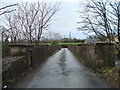 H1295 : Narrow bridge near Ballybofey by louise price