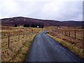 Road towards Borve