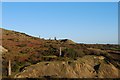 Spoilheaps of South Caradon Mine