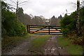 An avenue entrance to a field near Burnside, Forfar