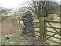 Water worn limestone gatepost