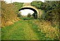 Old railway near Saintfield