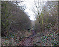 Old railway east of Snowford Hill