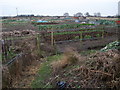 Allotments off Cottage Lane, Collingham