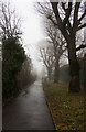 Footpath Beside the North Circular Road