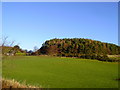 Glen Tarkie Hill