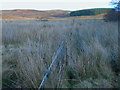 NU0921 : Fenceline on the boundary near Harehope by ian shiell