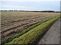 Field at Grove Wold Farm