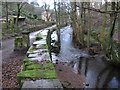 Bridleway beside the River Sett