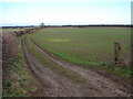 Track to Washing Dales Farm