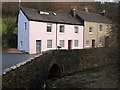 Duck and Cottages, Buckfastleigh