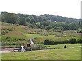 Plains Country Park