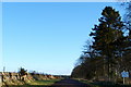 Road leading to Vinnybank Farm