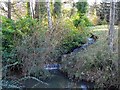 Small cascade in the grounds of Slaley Hall