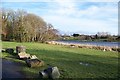 Picnic area at Marlacoo Lake